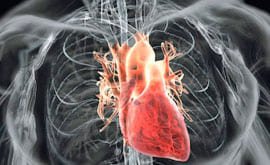 Complicaciones diabetes: muerte celular cerebral y cardíaca